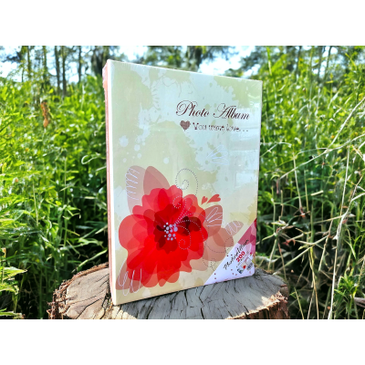 Альбом для фотографий 200 шт 10х15 №8210-B, бежевый Альбом для фотографий 200 шт 10х15 №8210-B, бежевый