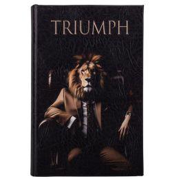 Книга сейф Триумф (0508-012) Книга сейф Триумф (0508-012)