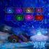 Лазерный проектор звездного неба Jellyfish Lamp с Bluetooth и белым шумом